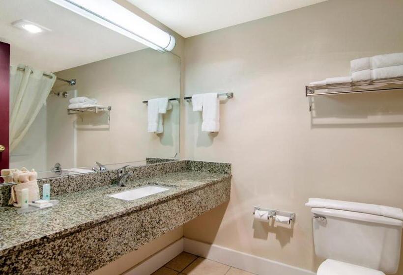 Quarto Estandar Cama King, Quality Inn & Suites