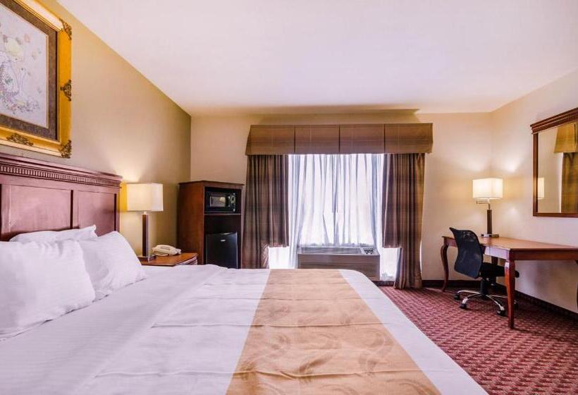 غرفة قياسية سرير كينج لذوى الإحتياجات الخاصة, Quality Inn & Suites