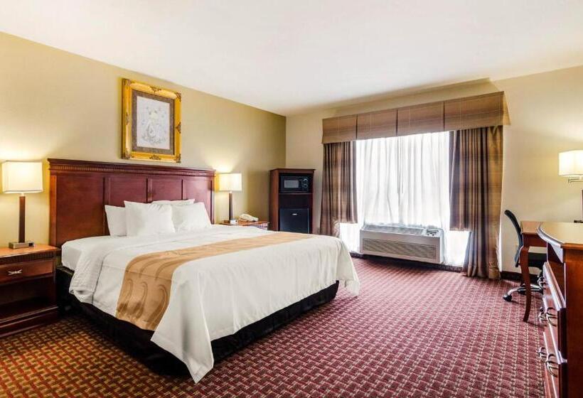 Quarto Estandar Cama King para Deficientes Físicos, Quality Inn & Suites