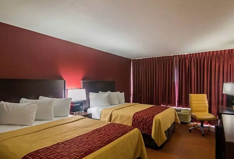 デラックスルーム, Red Roof Inn Lubbock
