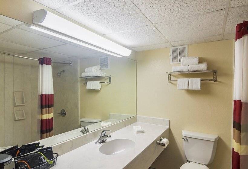 수피리어 룸, Red Roof Inn Lubbock