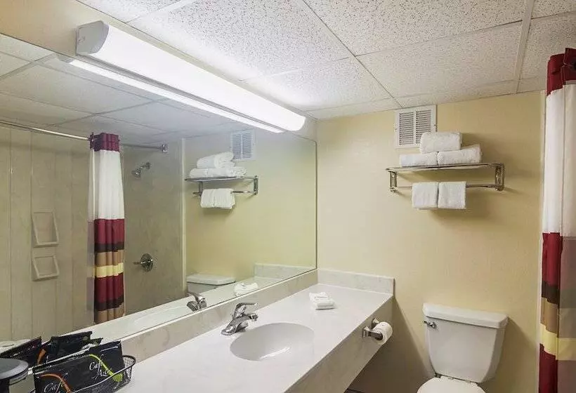 スーペリアールーム, Red Roof Inn Lubbock