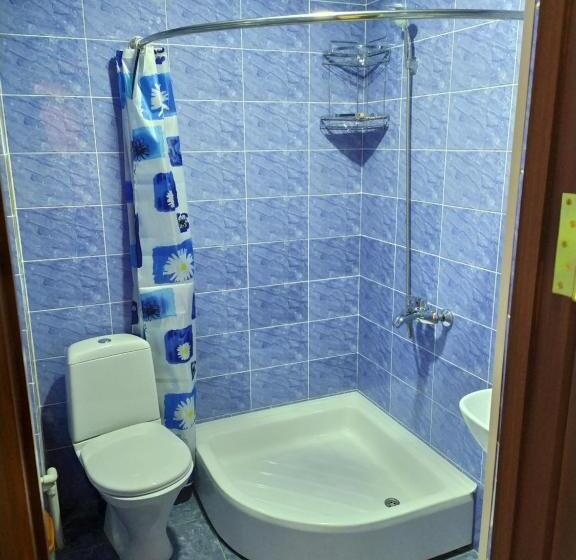 اتاق استاندارد, Boran