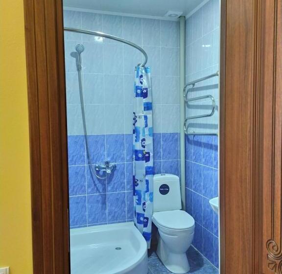 اتاق استاندارد, Boran