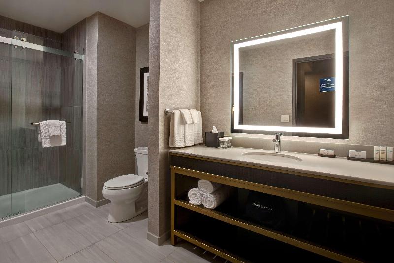 带大床的套房, Embassy Suites By Hilton Rockford Riverfront