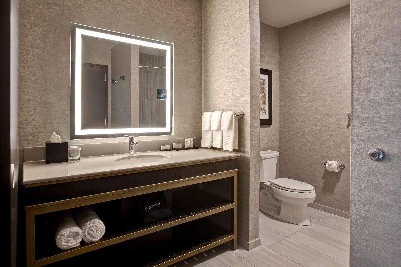 Suite Queen Bed, Embassy Suites By Hilton Rockford Riverfront