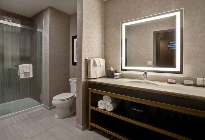 适合残疾人士使用的套间, Embassy Suites By Hilton Rockford Riverfront