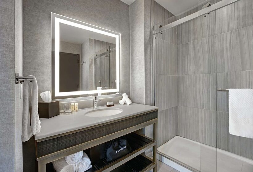 带双人床的标准工作室, Embassy Suites By Hilton Rockford Riverfront