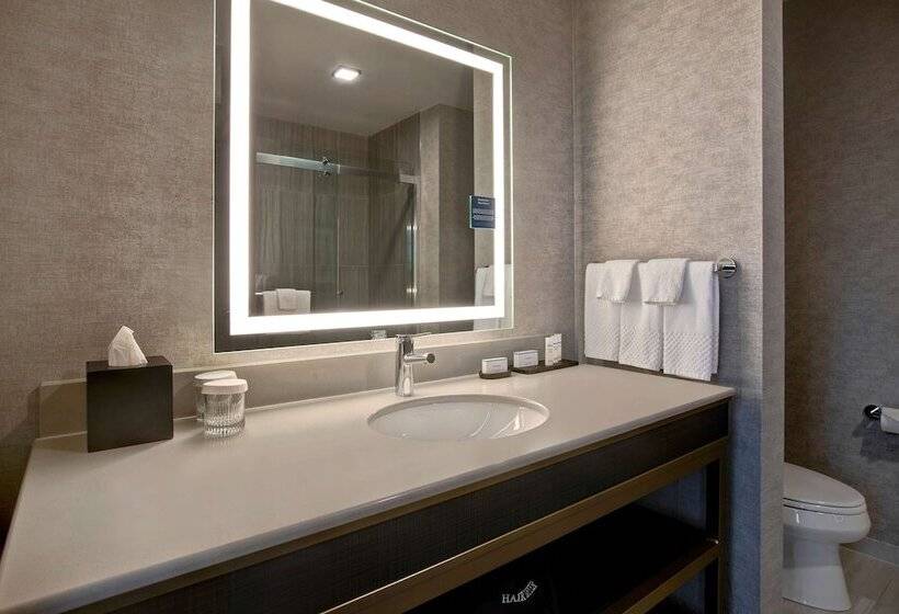 Standard Studio Dobbeltseng, Embassy Suites By Hilton Rockford Riverfront