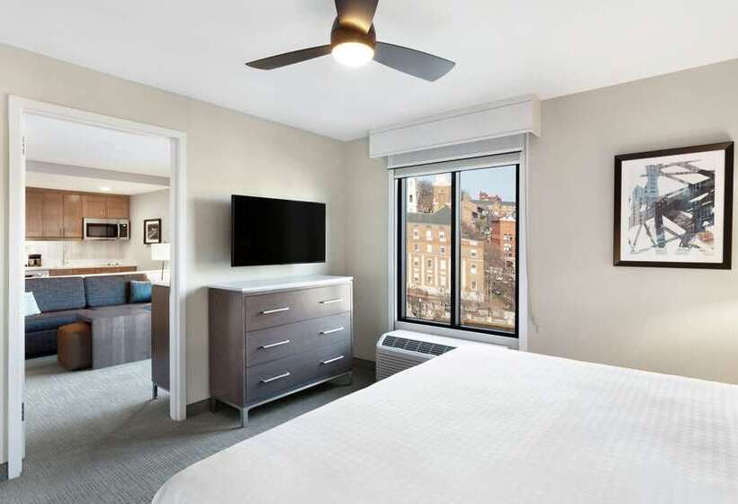 带大床的套房, Embassy Suites By Hilton Rockford Riverfront