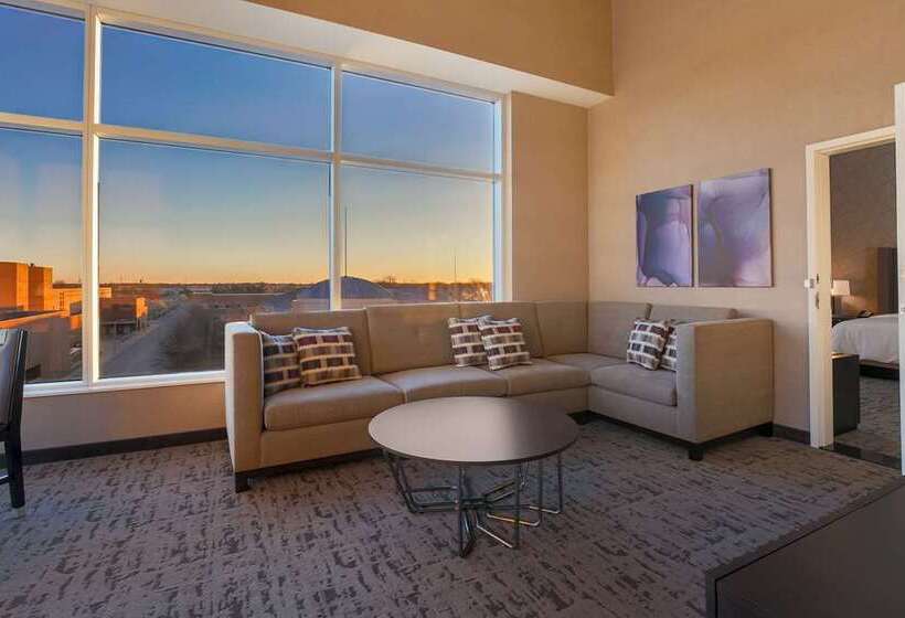 Suite King Size Seng, Embassy Suites By Hilton Rockford Riverfront