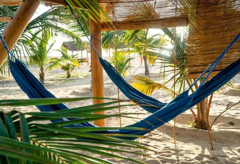 Номер Economy, Whisky Point Resort