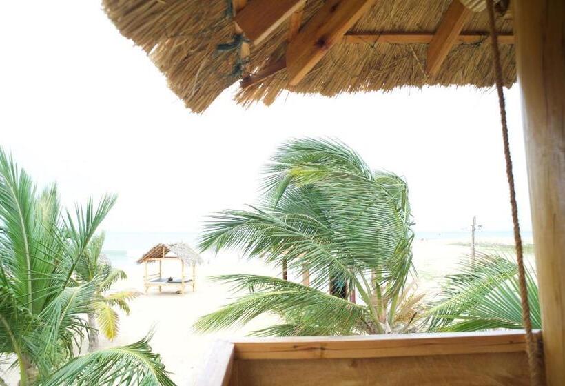 חדר אקונומי, Whisky Point Resort