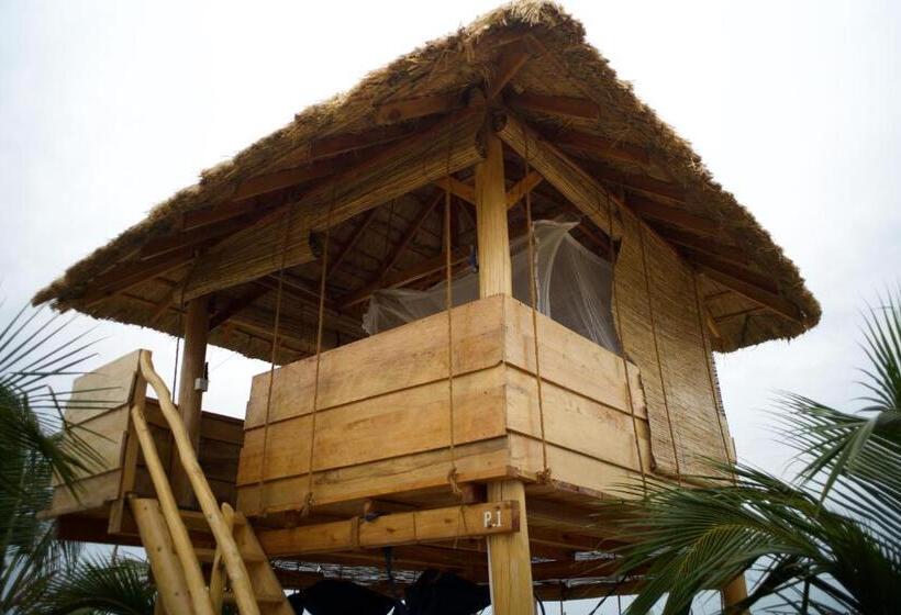 חדר אקונומי, Whisky Point Resort