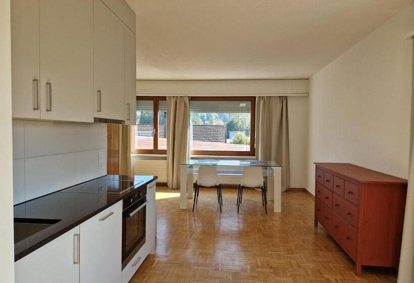 デラックススタジオ, Easy Living Buholz Hoch 12