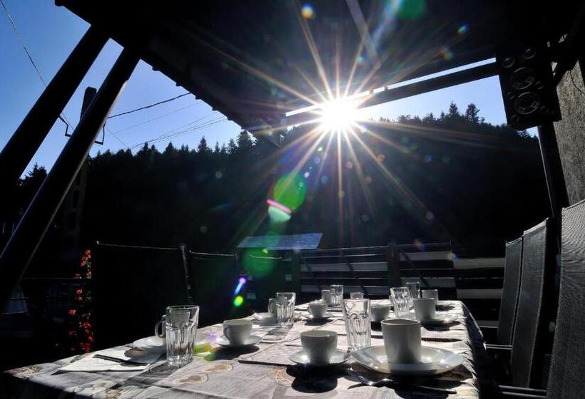 خانه 1 خوابه, New Green