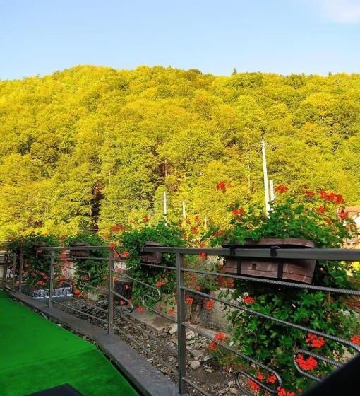 خانه 1 خوابه, New Green