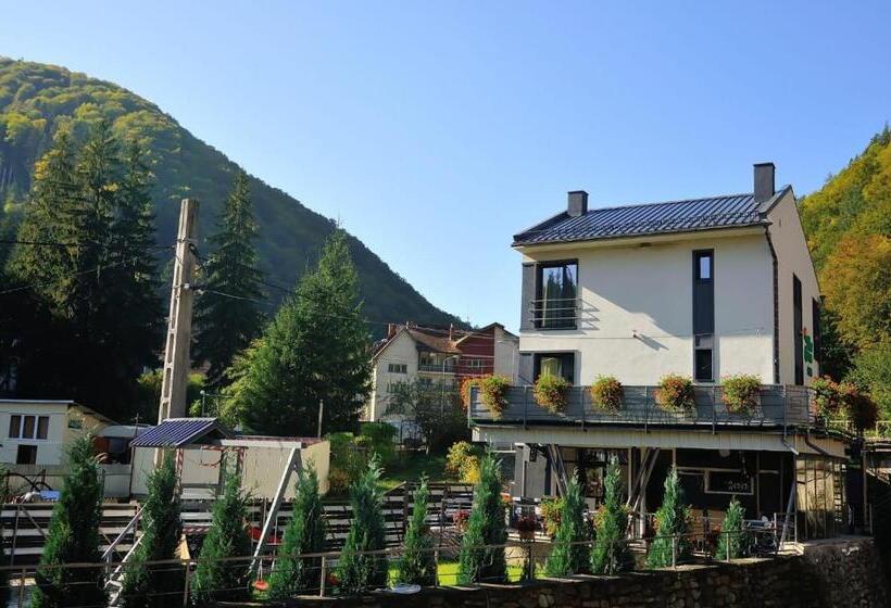 خانه 1 خوابه, New Green