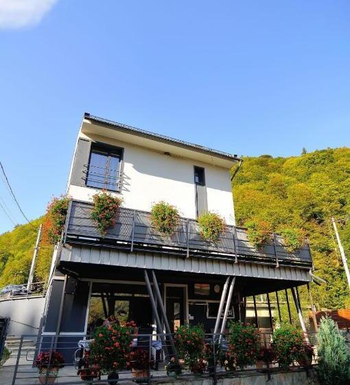 خانه 1 خوابه, New Green