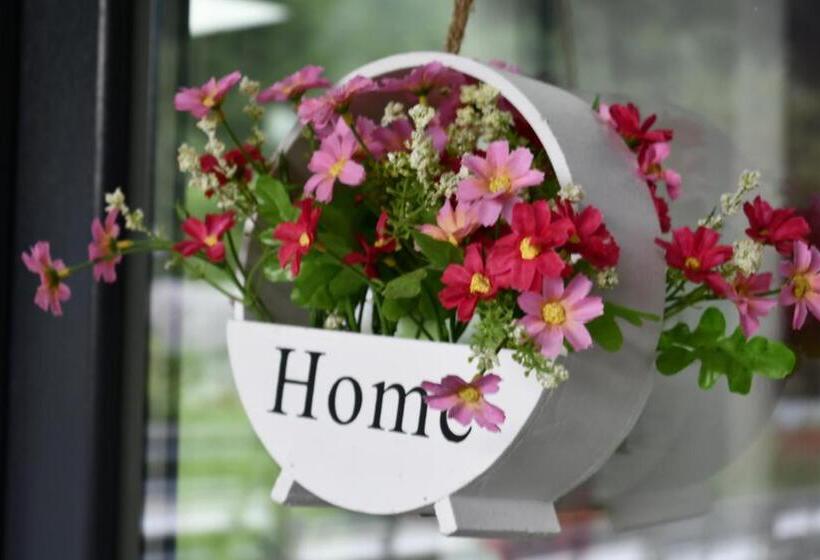 خانه 1 خوابه, New Green