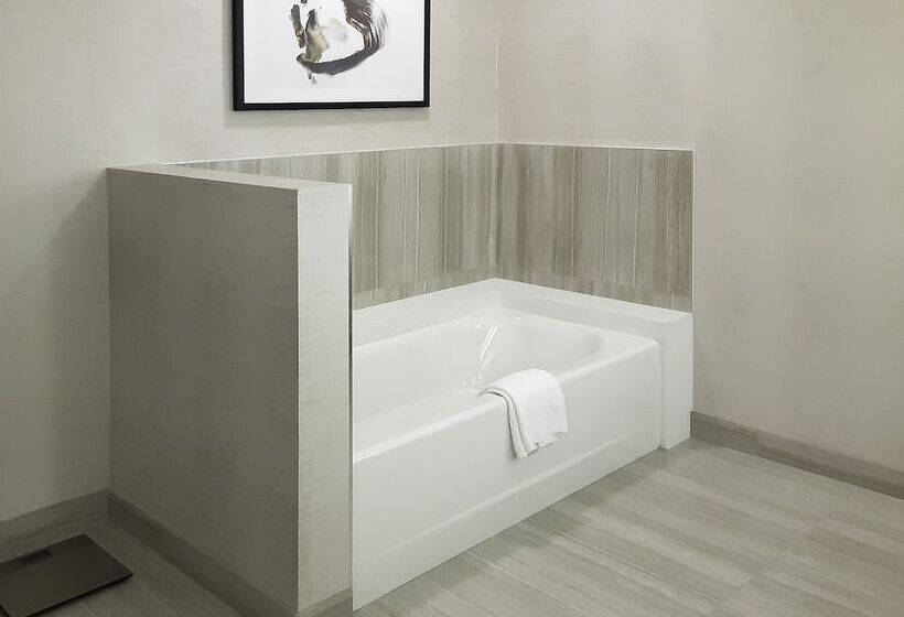 סוויטה מותאמת לאדם עם מוגבלויות, Courtyard By Marriott Los Angeles Monterey Park