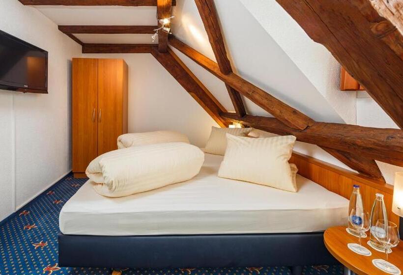 标准间带湖景, Historische Residenz Lindeneck