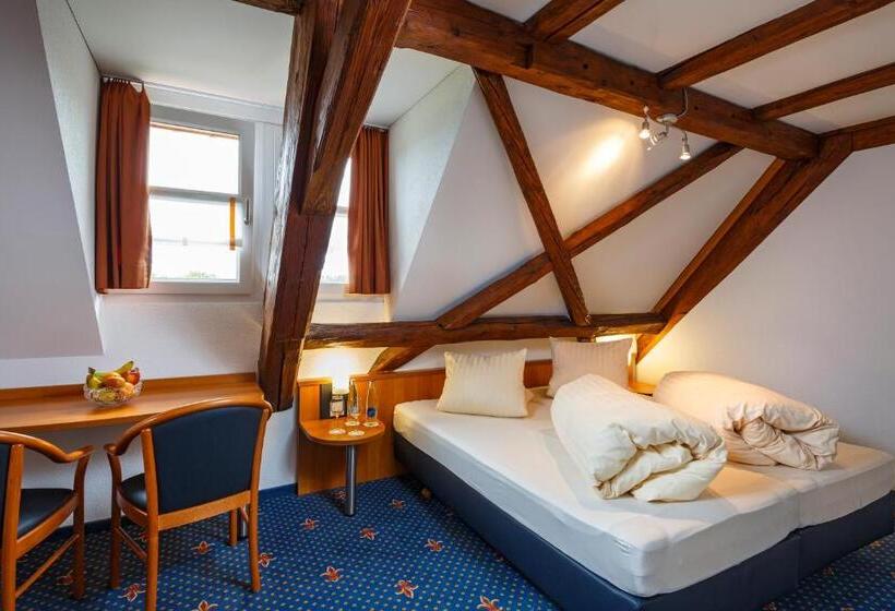 标准间带湖景, Historische Residenz Lindeneck