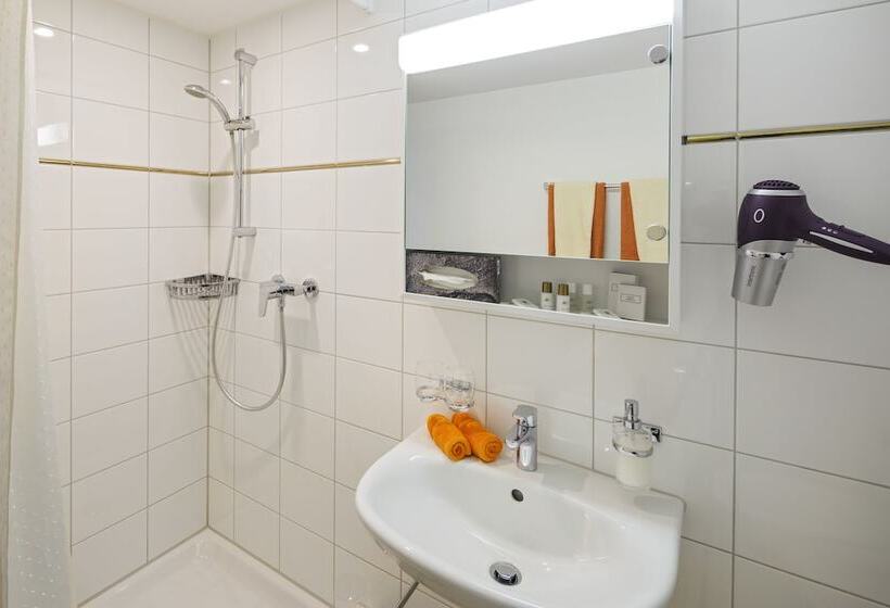 标准间带湖景, Historische Residenz Lindeneck