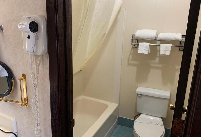 Номер Deluxe Кровать Кинг, Regency Inn