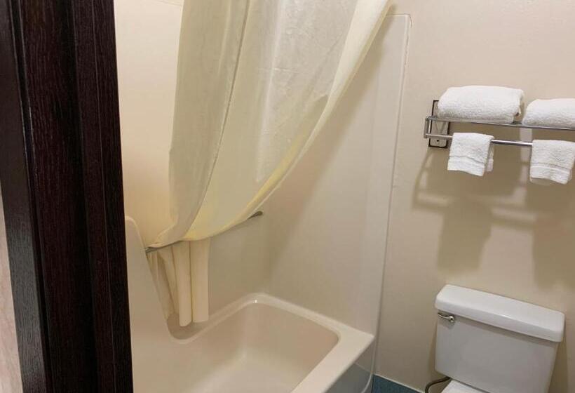 Номер Deluxe Кровать Кинг, Regency Inn