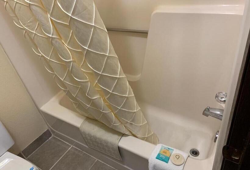 Номер Стандарт, Regency Inn