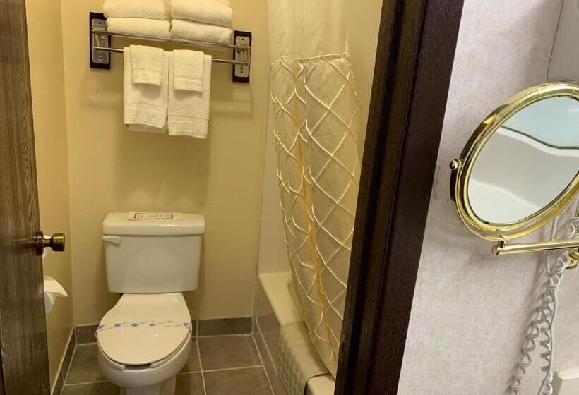 Номер Deluxe, Regency Inn