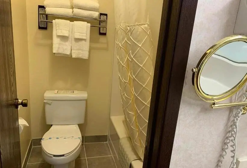 デラックスルーム, Regency Inn
