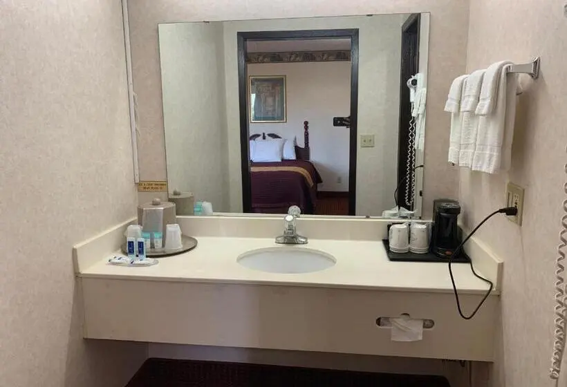 デラックスルーム, Regency Inn