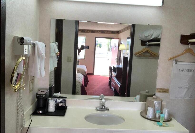 Номер Deluxe, Regency Inn