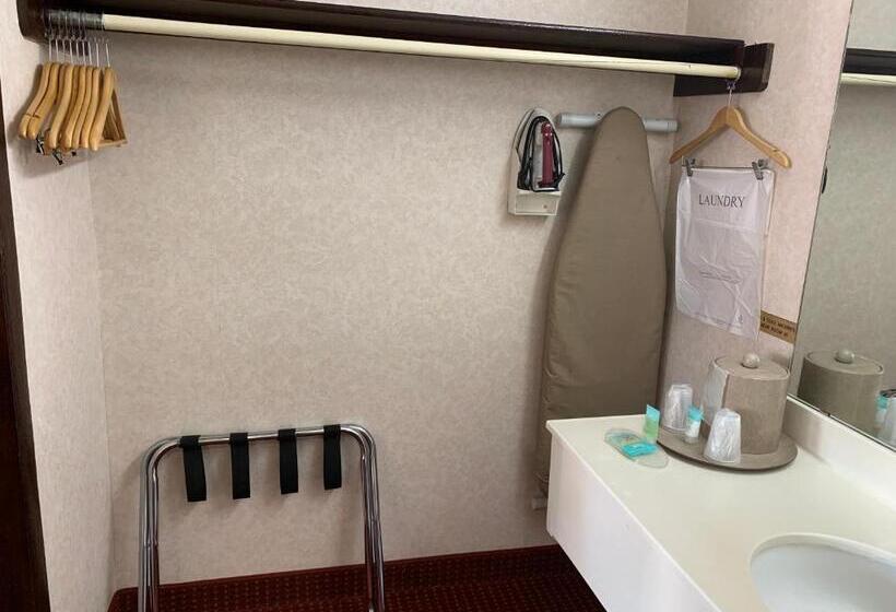 Номер Стандарт Адаптированный для Инвалидов, Regency Inn