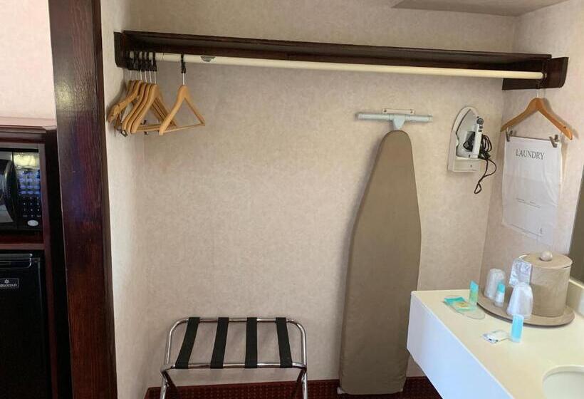 Номер Deluxe Кровать Кинг, Regency Inn