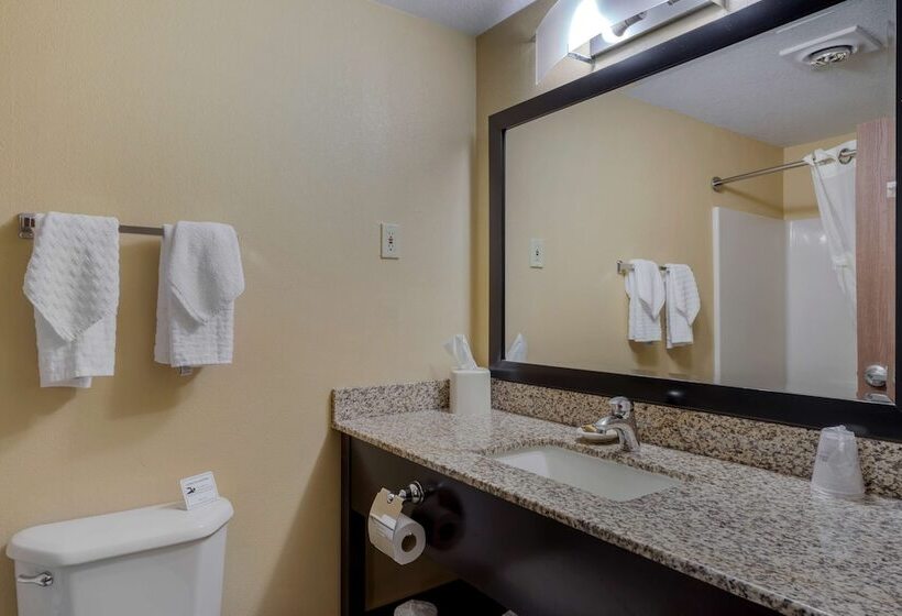 Люкс, Best Western Cascade Inn & Suites