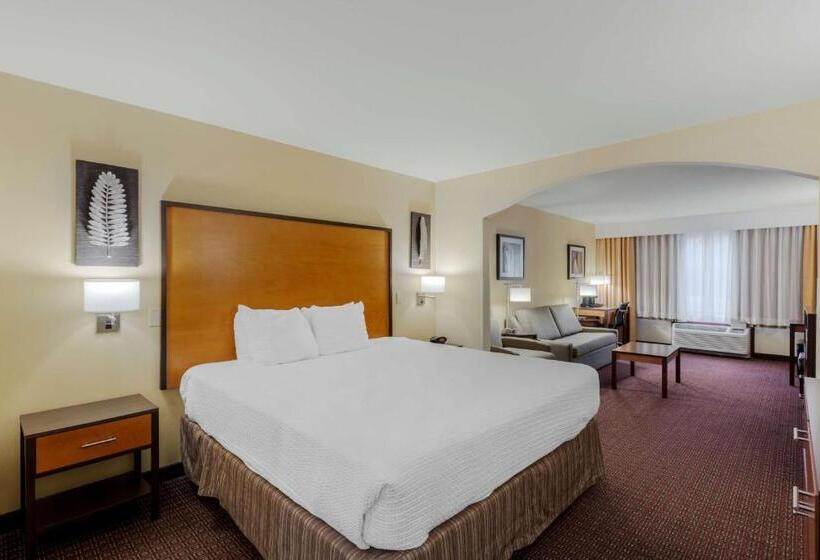 Люкс Кровать Кинг, Best Western Cascade Inn & Suites