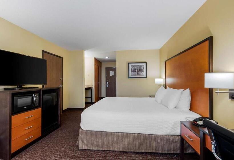 Номер Стандарт Кровать Кинг Адаптированный для Инвалидов, Best Western Cascade Inn & Suites