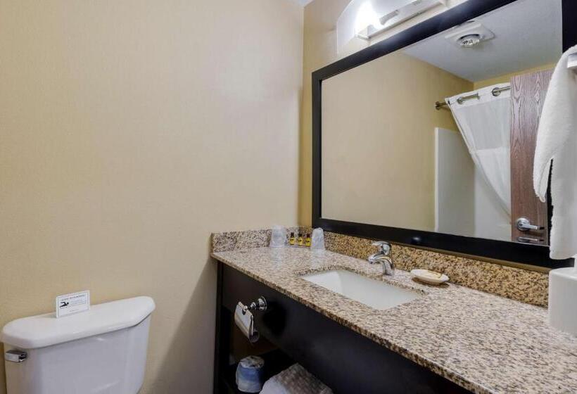 غرفة قياسية سرير كينج, Best Western Cascade Inn & Suites