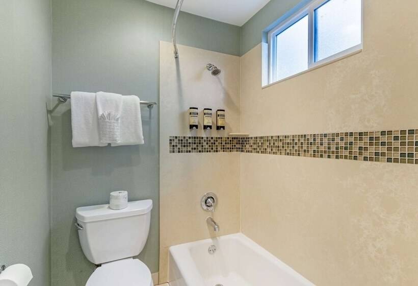 غرفه قياسيه سريرين مزدوجين, Best Western Plus Riviera