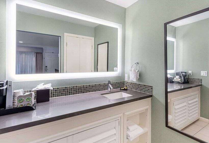 غرفه قياسيه سريرين مزدوجين, Best Western Plus Riviera