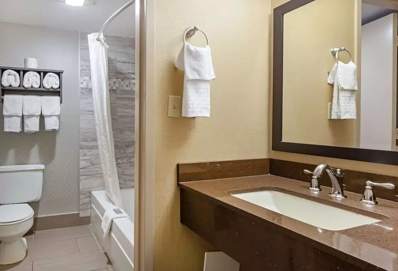 اتاق استاندارد با 2 تخت دوبل, Best Western Summit Inn