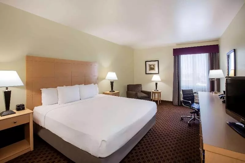 اتاق استاندارد با تخت بزرگ, Best Western Summit Inn