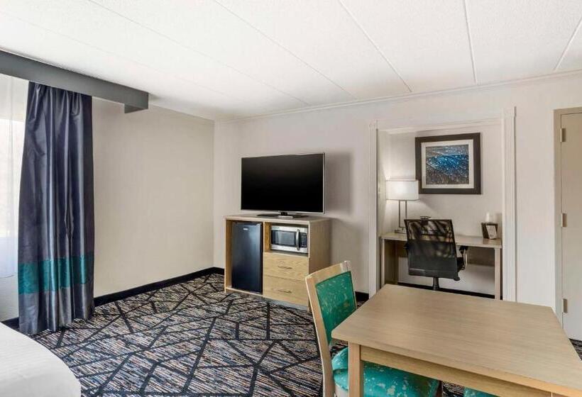 스위트 킹사이즈 침대, Best Western Westgate Inn