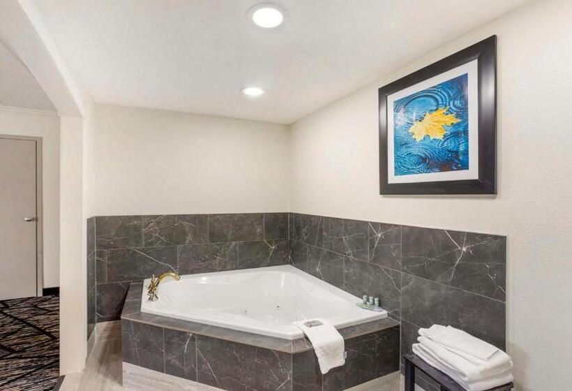 스위트 킹사이즈 침대, Best Western Westgate Inn