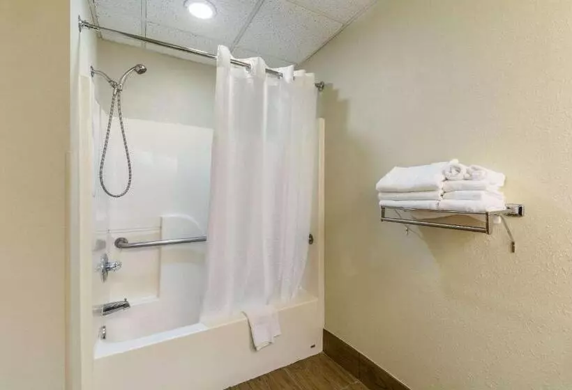 اتاق استاندارد با تخت بزرگ برای معلولان, Quality Inn & Suites Southport