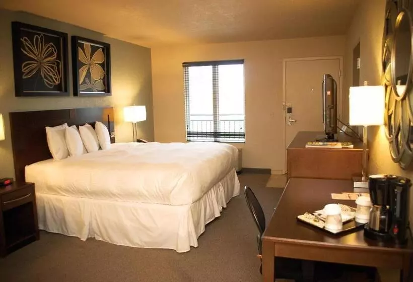 キングサイズベッドのデラックスルーム, Unique Suites