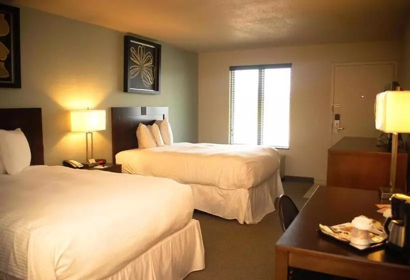 デラックスルーム, Unique Suites